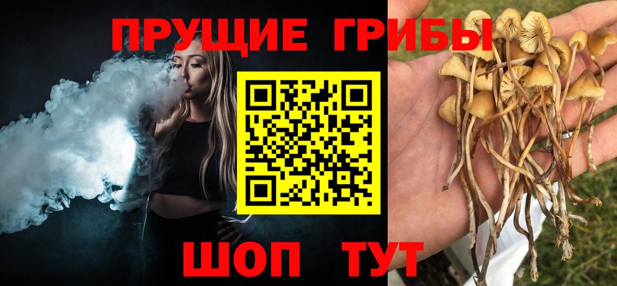 Галлюциногенные грибы мицелий Богородск