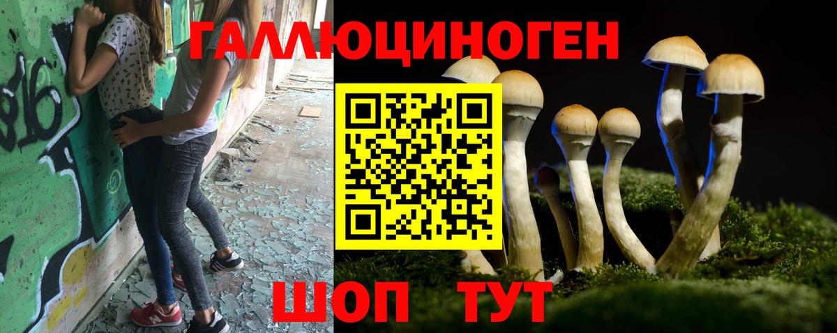 Псилоцибиновые грибы мицелий  закладки  Богородск  Вход с VPN 